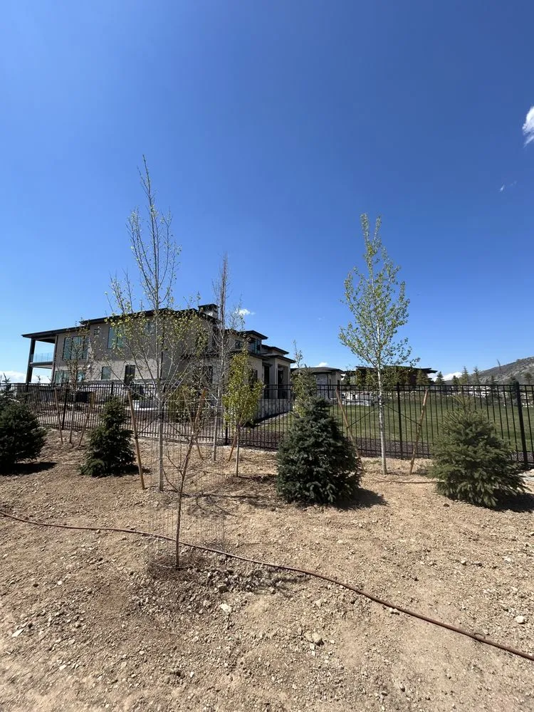 Custom garden landscaping for beautiful yards across Orem, UT - Utah Tree Planters