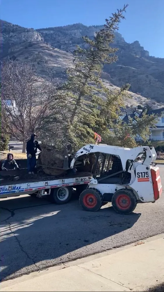 Affordable residential landscaping in Orem, UT - Utah Tree Planters