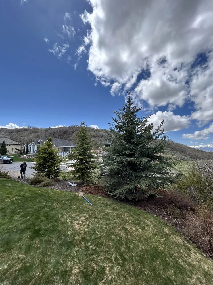 Reliable landscape installation in Orem, UT - Utah Tree Planters