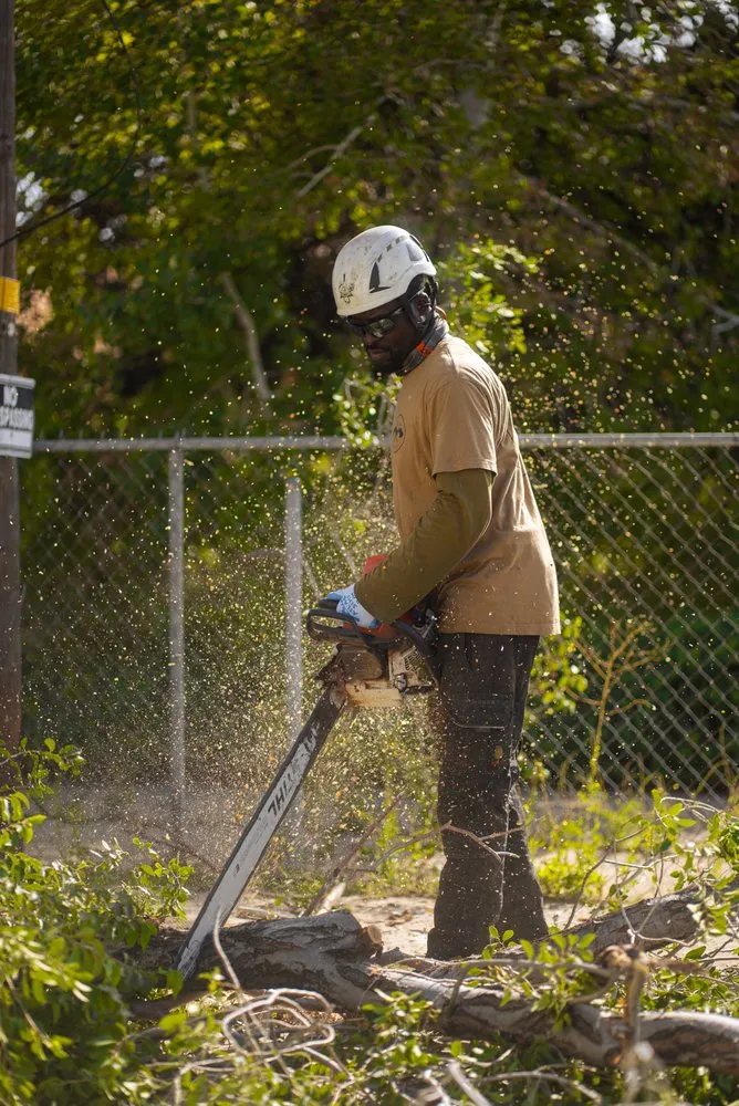 Affordable landscaping services for homes across Sandy, UT - Utah Tree