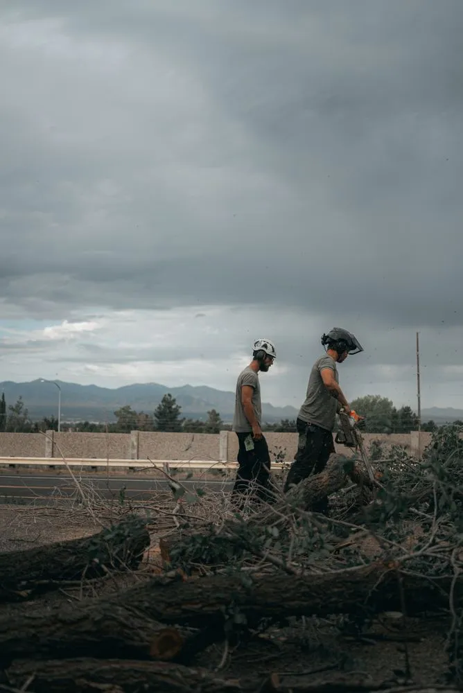 Professional lawn mowing service in Sandy, UT by Utah Tree