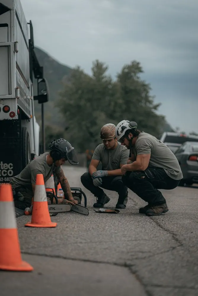 Trusted lawn mowing service with custom design across Sandy, UT - Utah Tree