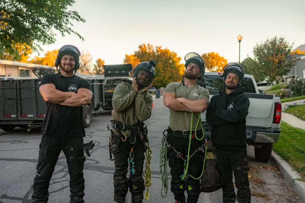 Expert lawn mowing service with custom design in Sandy, UT by Utah Tree