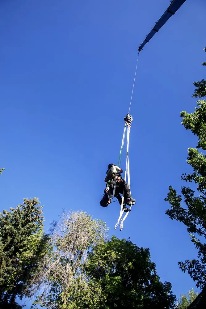 Custom landscape installation experts serving Sandy, UT - Utah Tree