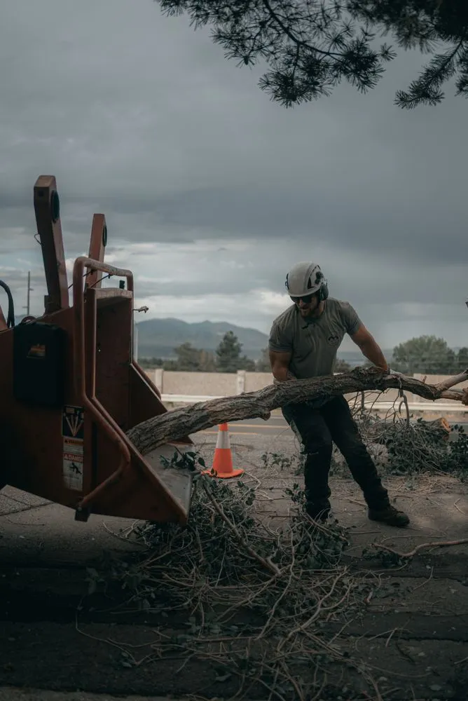 Reliable lawn care service near you in Sandy, UT by Utah Tree