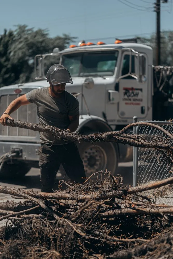 Reliable landscape design in Sandy, UT by Utah Tree