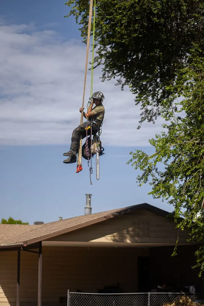 Trusted outdoor landscaping in Sandy, UT by Utah Tree