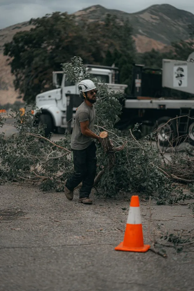 Expert outdoor landscaping near you in Sandy, UT by Utah Tree