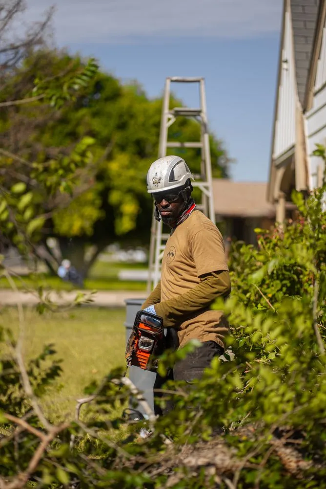 Trusted outdoor landscaping in Sandy, UT by Utah Tree