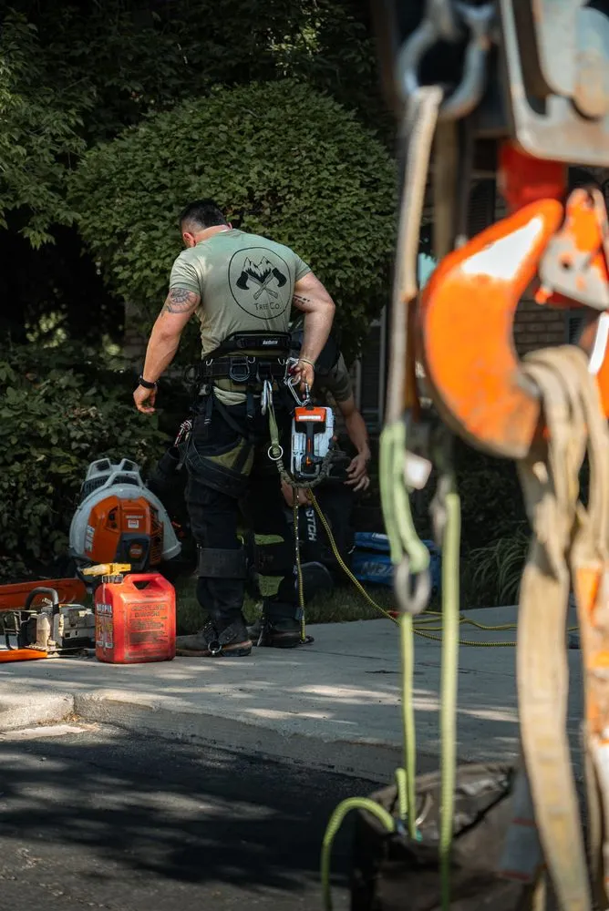 Expert yard maintenance for homes in Sandy, UT by Utah Tree