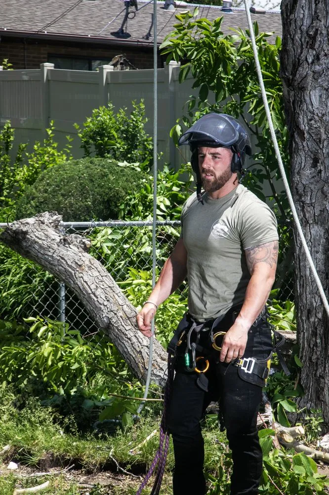 Top-rated lawn care service experts serving Sandy, UT - Utah Tree