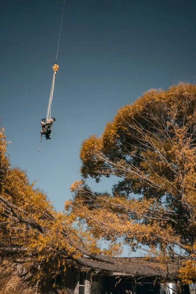 Affordable garden landscaping for outdoor upgrades in Sandy, UT by Utah Tree