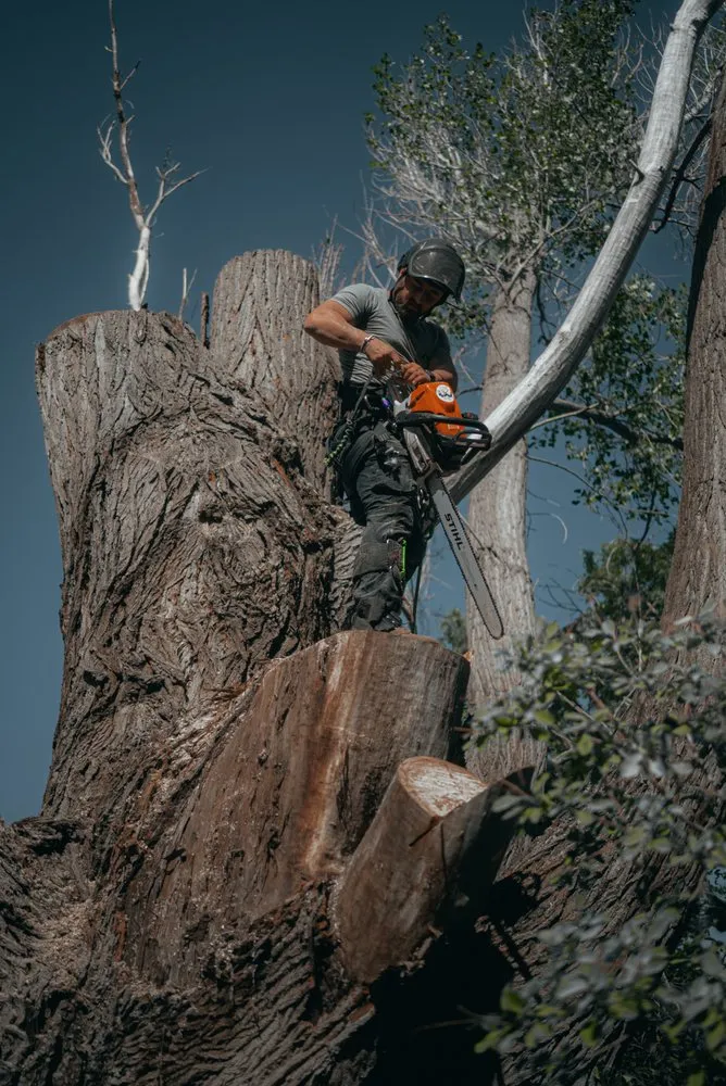 Reliable garden landscaping in Sandy, UT - Utah Tree