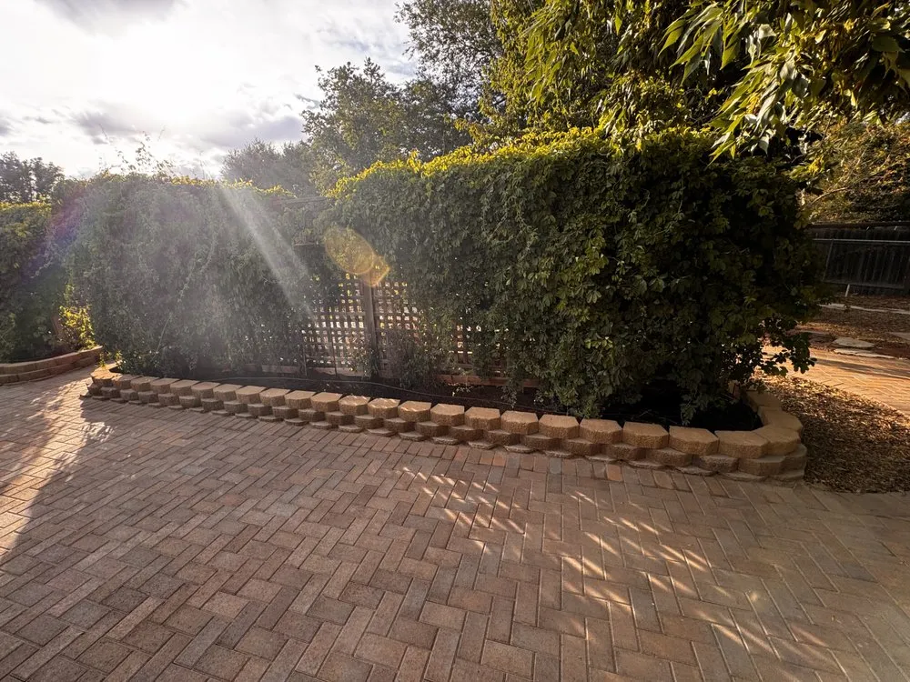 Expert yard maintenance experts serving Orem, UT - Utah Valley Landscaping