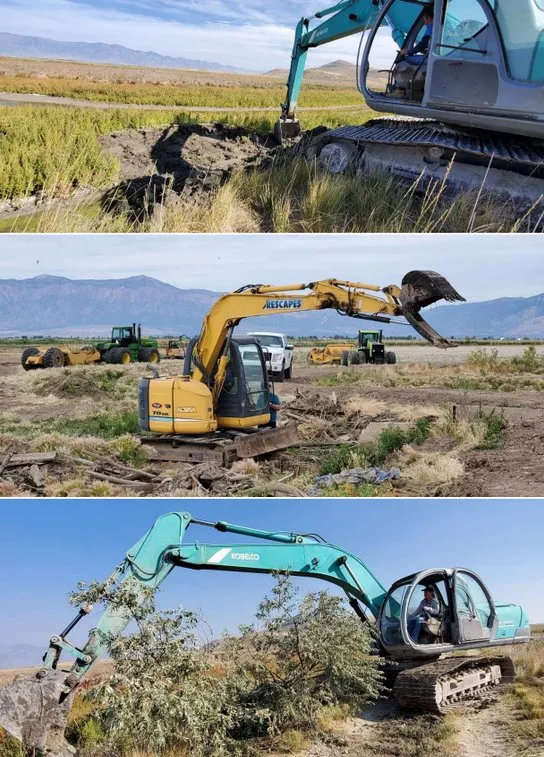 Professional yard cleanup service in Layton, UT - Utahscapes Landscaping