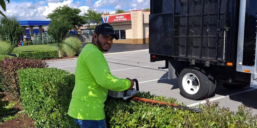 Affordable yard cleanup service in Utica, NY - Utica Lawn And Landscape