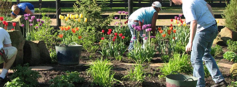 Reliable lawn care service for year-round maintenance across Utica, NY - Utica Lawn And Landscape