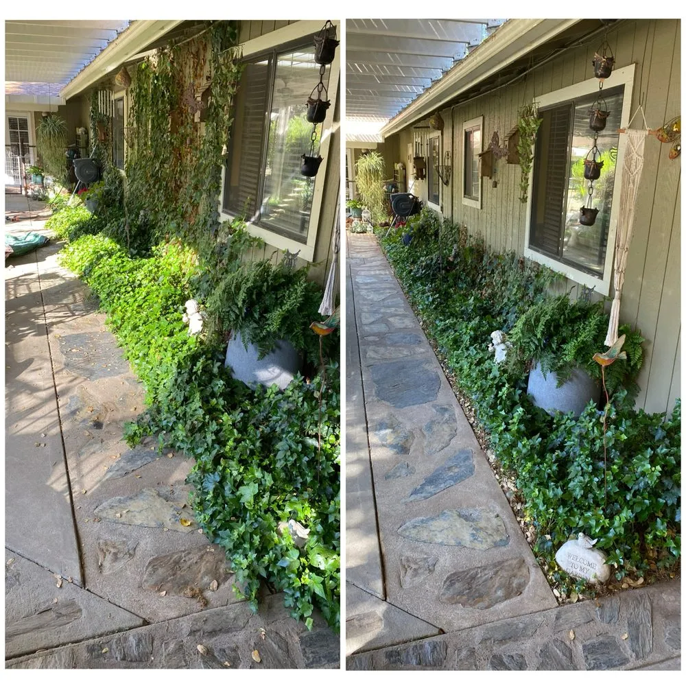 Affordable lawn mowing service for outdoor upgrades in Coarsegold, CA by Utley & Sons Land Services