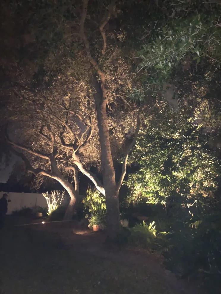 Top-rated lawn care service in New Smyrna Beach, FL by Utopia 360° Irrigation, Landscape Lighting