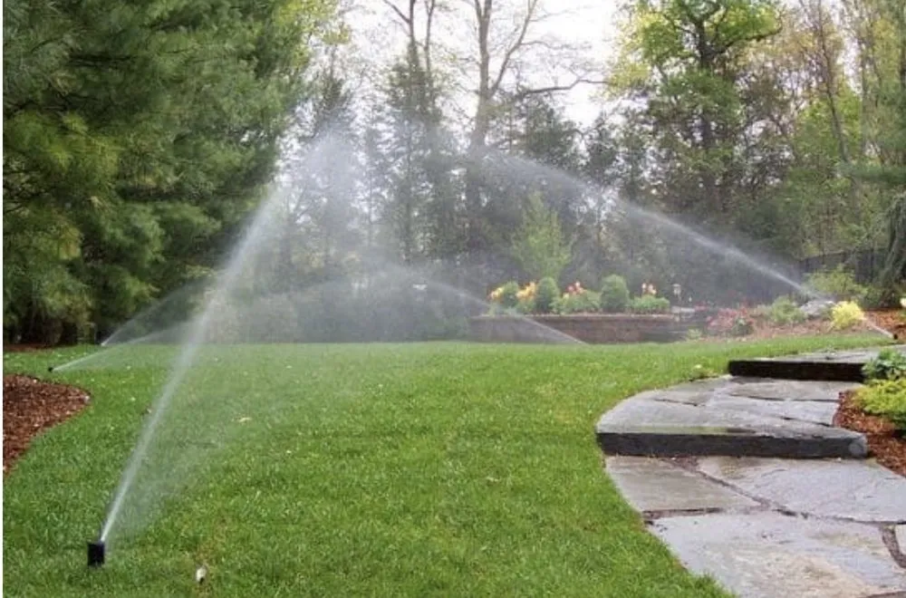 Professional yard cleanup service in New Smyrna Beach, FL by Utopia 360° Irrigation, Landscape Lighting