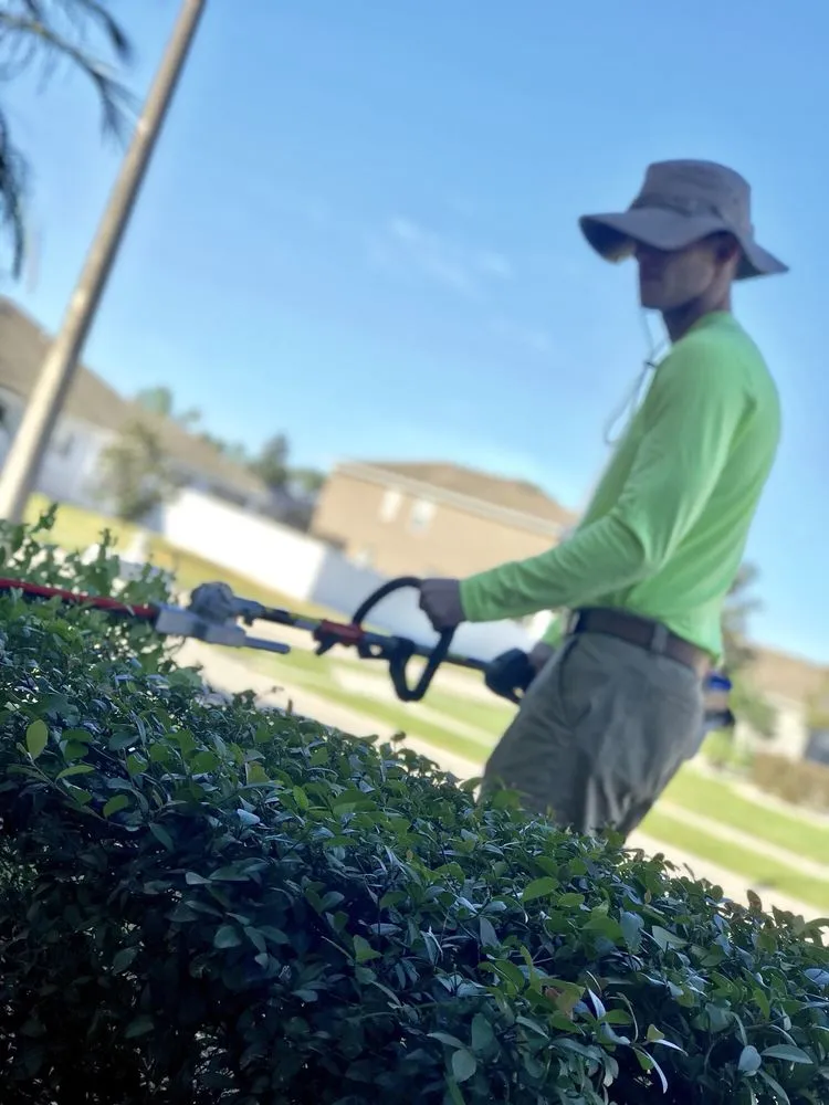 Expert lawn mowing service for outdoor upgrades in Wesley Chapel, FL by Utopia Lawn