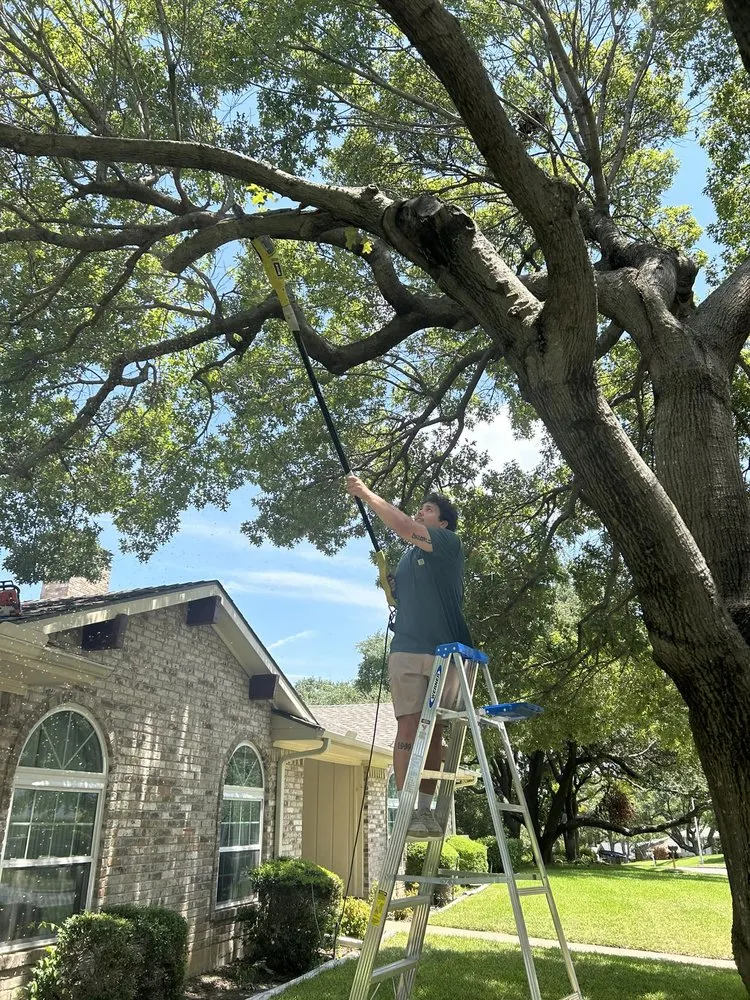 Custom lawn care service experts serving Richardson, TX - Utopian Landscaping