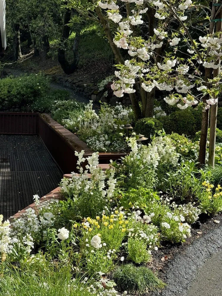 Custom yard cleanup service experts serving Walnut Creek, CA - Utopic Gardens