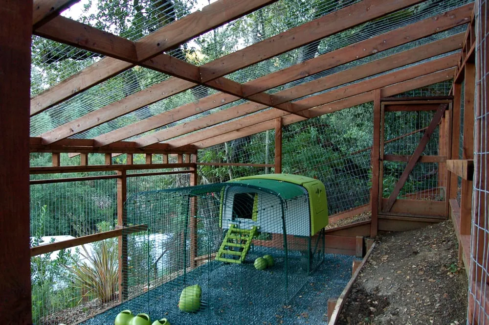 Top-rated lawn care service in Walnut Creek, CA - Utopic Gardens