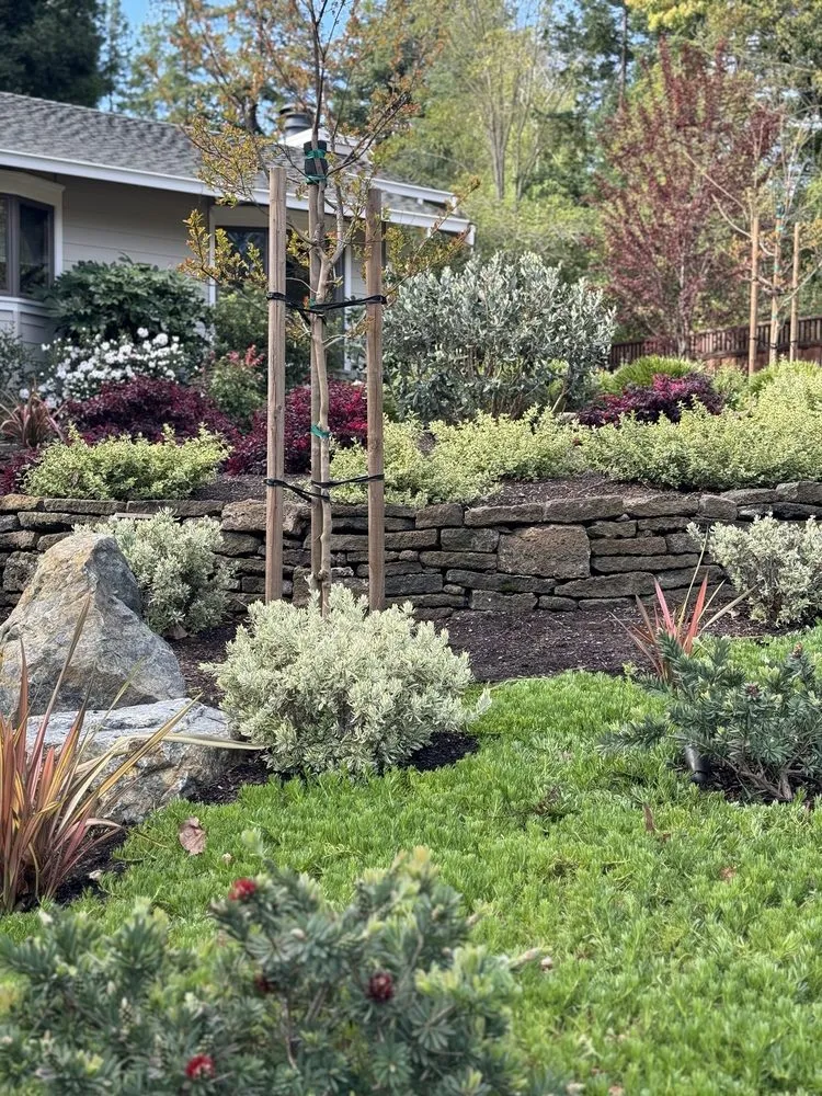 Top-rated residential landscaping near you in Walnut Creek, CA by Utopic Gardens