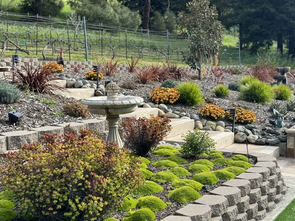 Trusted yard cleanup service with custom design across Walnut Creek, CA - Utopic Gardens