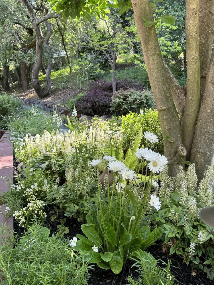 Reliable garden landscaping for residential properties across Walnut Creek, CA - Utopic Gardens