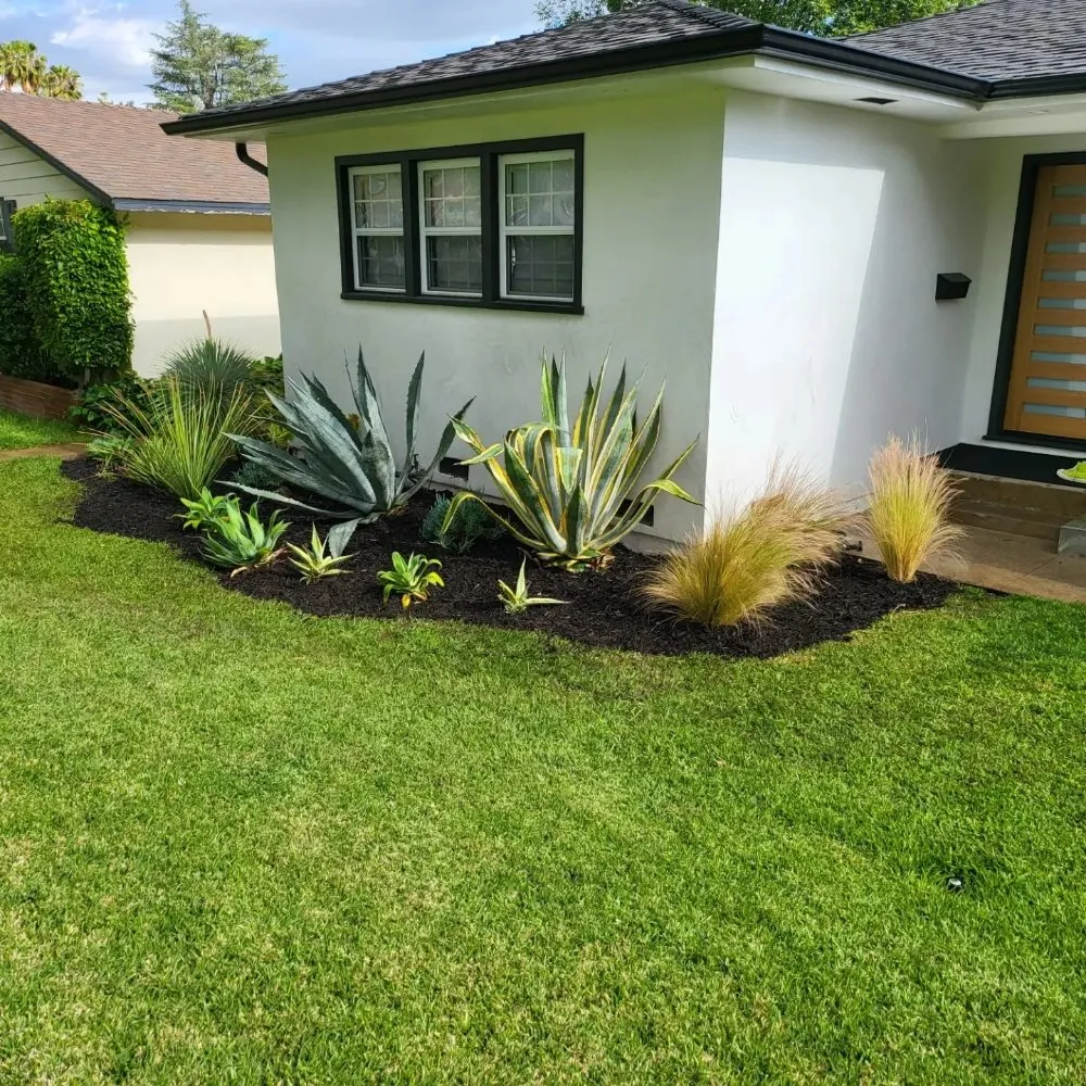 Top-rated lawn mowing service for homes across sun valley, CA - Utrilla's Landscape And Irrigation