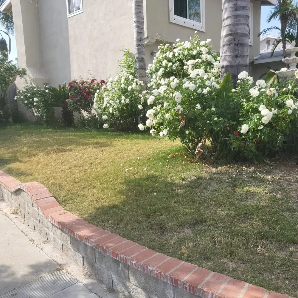 Professional landscaping services in sun valley, CA - Utrilla's Landscape And Irrigation