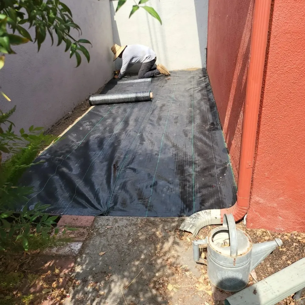 Professional outdoor landscaping for outdoor upgrades in sun valley, CA by Utrilla's Landscape And Irrigation