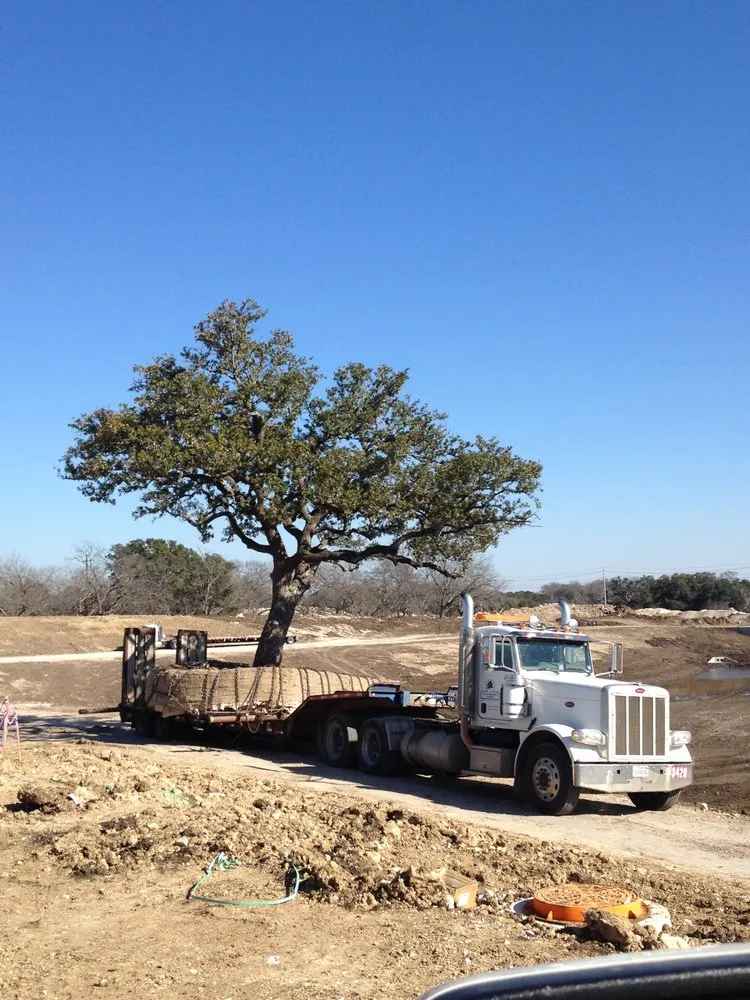 Custom yard maintenance in Leander, TX - Utz Environmental Services