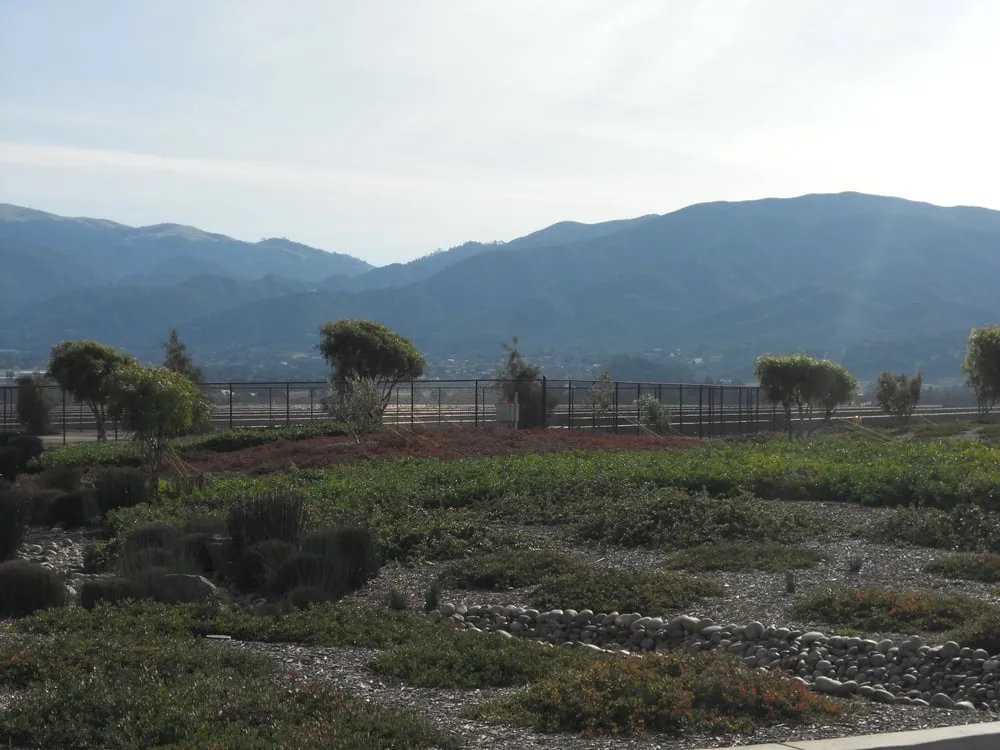 Top-rated outdoor landscaping for year-round maintenance in Salinas, CA by UV Landscaping