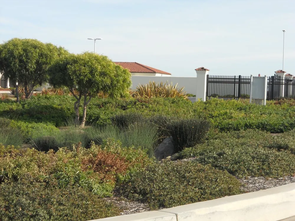 Local lawn care service in Salinas, CA by UV Landscaping