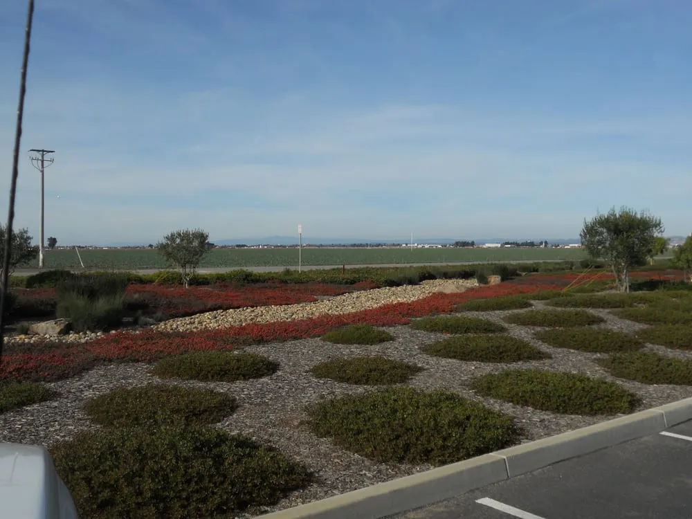 Professional residential landscaping in Salinas, CA by UV Landscaping