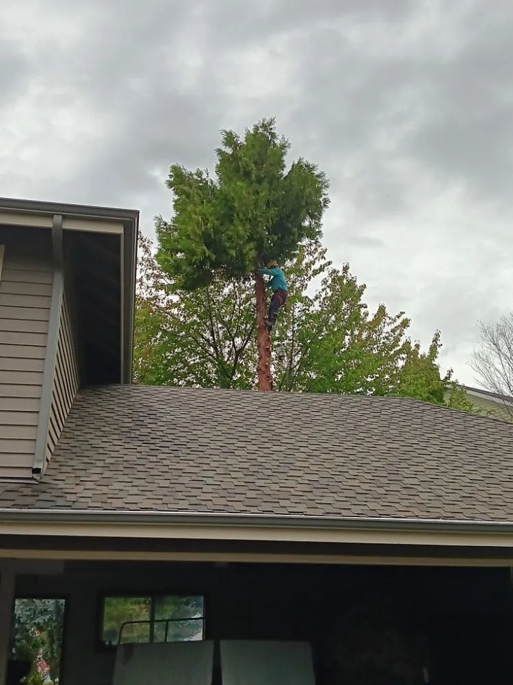 Reliable residential landscaping experts serving East Wenatchee, WA - UvalleScapes