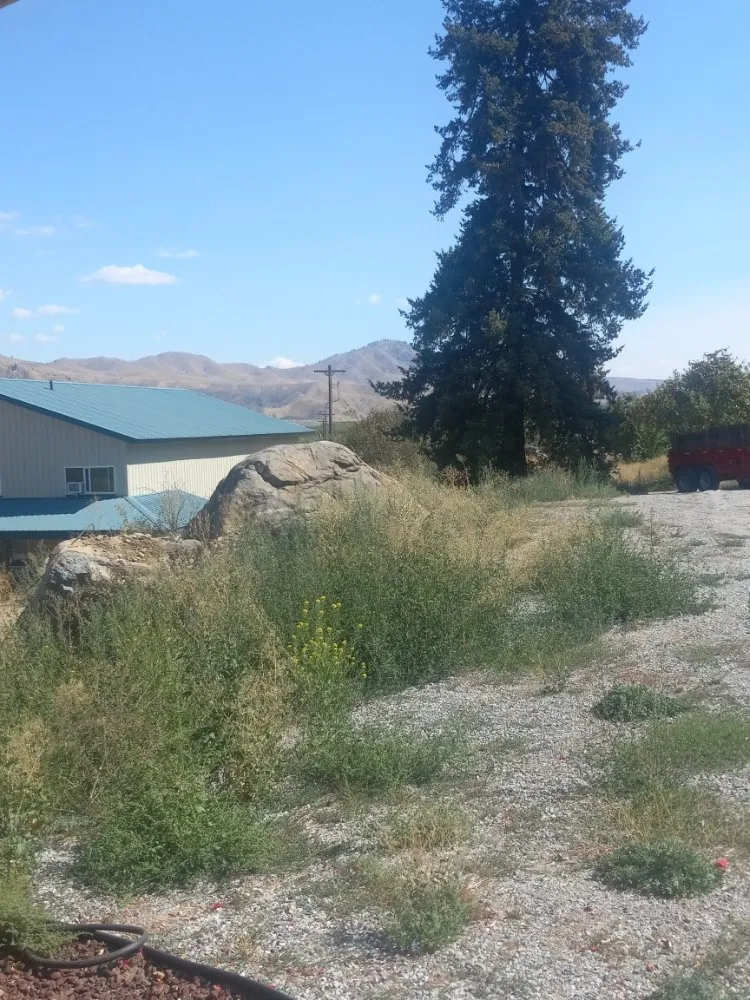 Trusted yard maintenance experts serving East Wenatchee, WA - UvalleScapes