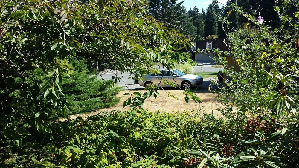 Top-rated landscape design in Renton, WA - Uyeta Landscape & Maintenance