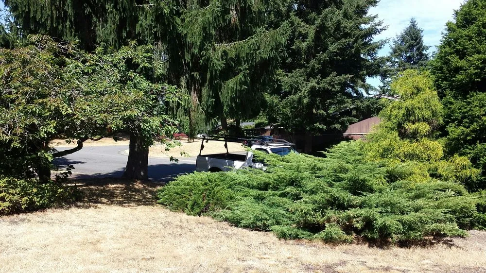 Affordable landscape design experts serving Renton, WA - Uyeta Landscape & Maintenance
