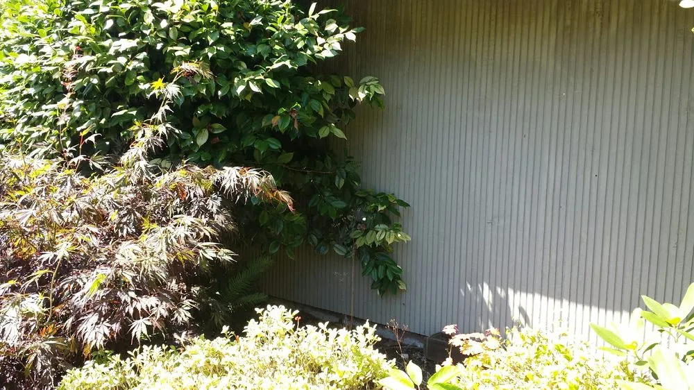 Expert landscape installation in Renton, WA by Uyeta Landscape & Maintenance