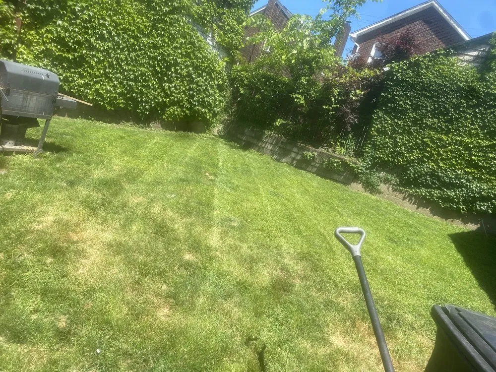 Reliable lawn care service in Pittsburgh, PA by Uz Guyz Landscaping