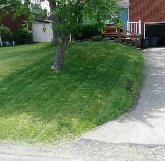 Reliable yard cleanup service for residential properties across Pittsburgh, PA - Uz Guyz Landscaping