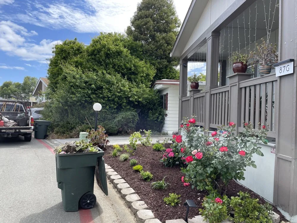 Professional yard maintenance experts serving Menlo Park, CA - V & A Landscaping Services