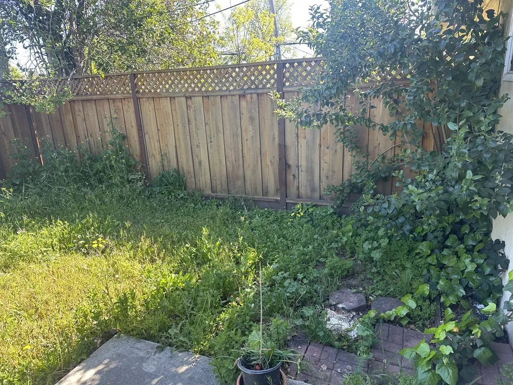 Affordable outdoor landscaping in Menlo Park, CA by V & A Landscaping Services