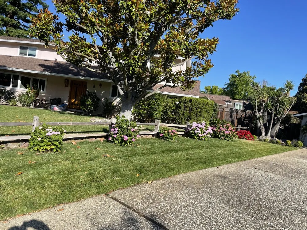 Top-rated landscape installation in Menlo Park, CA - V & A Landscaping Services