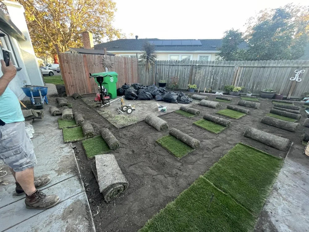 Professional yard cleanup service in Menlo Park, CA - V & A Landscaping Services