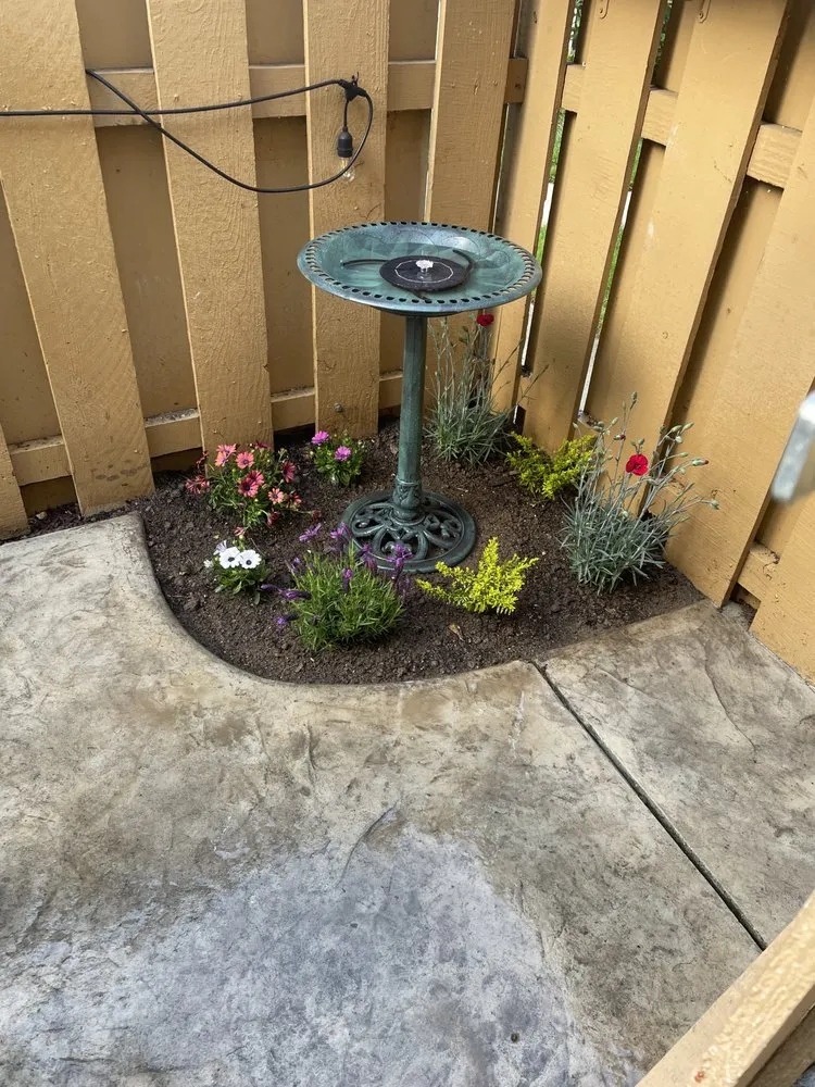 Trusted lawn mowing service experts serving Menlo Park, CA - V & A Landscaping Services